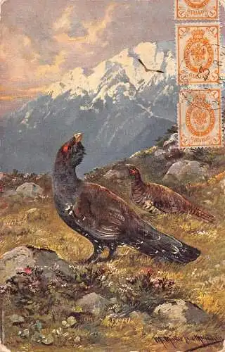 A149 Gemälde 1923 Berge Schwarzer Hahn signiert M Müller Postkarte