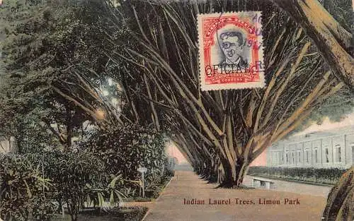 L041 Costa Rica 1917 Indische Lorbeerbäume Limon Park Vintage Postkarte