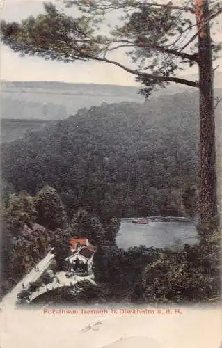 A161 Deutschland 1909 Forsthaus Isenach b Dürkheim ad H Wald Postkarte