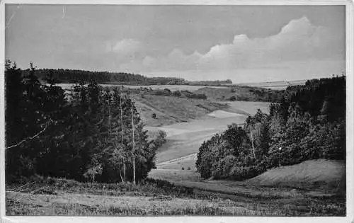 A141 Deutschland Gasthaus Fremdenpension Zum Moseltal Raversbeuren Postkarte