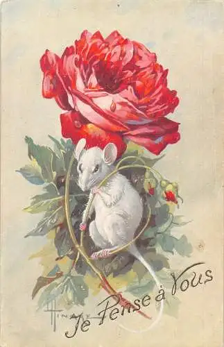 L102 Grüße 1919 Maus Rosen Blumen signiert Hingre Vintage Postkarte