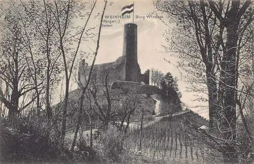 A138 Deutschland Weinheim Burg Windeck Baden Flagge Zitadelle Vintage Postkarte