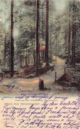 A135 Deutschland 1905 Gruss aus Freudenstadt Teicheleswald Bismarckruhe Postkarte