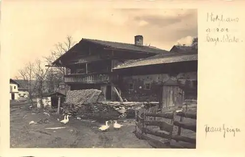 L211 Deutschland Haus im Bayerischen Wald Wald Enten Vintage Postkarte