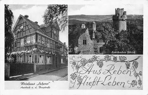 Deutschland Aus Reben Hiesst Leben Weinhaus Scherer Weinstube Auerbacher Postkarte