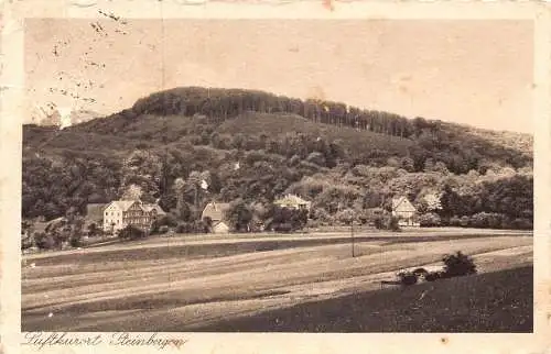 Deutschland 1929 Luftkurort Steinbergen Berg Vintage Postkarte