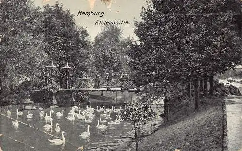 Deutschland 1911 Hamburg Alsterpartie Schwäne Fluss Vintage Postkarte