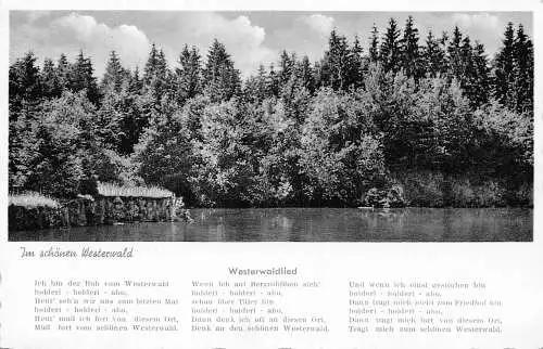 Deutschland 1962 Im Schoenen Westerwald Gedicht Vintage Postkarte
