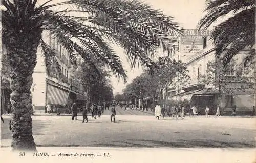 Tunesien Tunis Avenue de France Vintage Postkarte