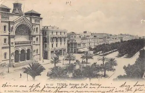 Tunesien Tunis 1905 Avenue de la Marine Vintage Postkarte