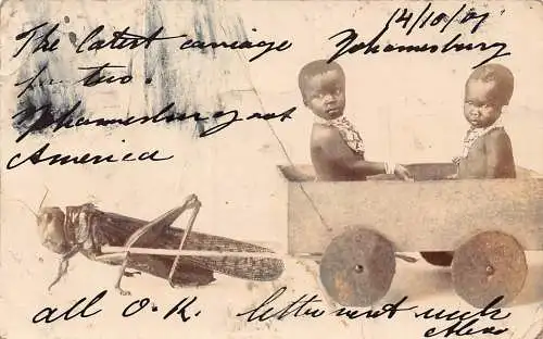 Südafrika 1901 Heuschrecke zieht einheimische Typen Wagen Surrealismus Postkarte
