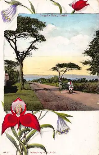 Südafrika Durban Congella Road Ricksha Boy Floral Vintage Postkarte
