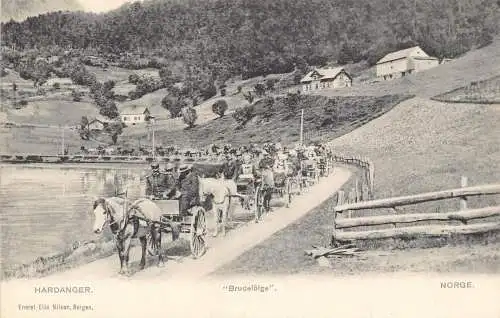 Norwegen Hardanger Brudefaerd Kutschen Vintage Postkarte