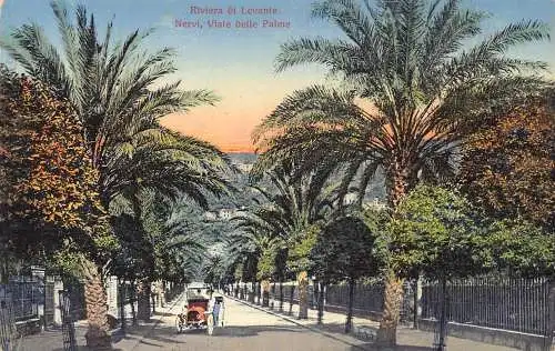 Italien Riviera di Levante Nervi Viale delle Palme Vintage Postkarte