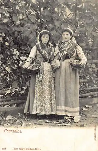 Italienische Contadine Bauernfrauen Weinkorb Weinberg Vintage Postkarte