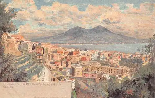 Italien Napoli Neapel Vesuve vu Bertolini's Palace Hotel Vesuv Postkarte
