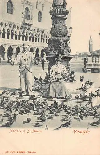 Italien Venedig Venezia Piccioni di S Marco Paar Tauben Vintage Postkarte