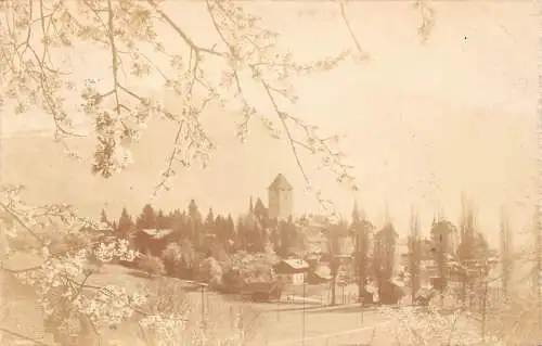 Schweiz 1923 Spiez am Thunersee Blumenzweig RPPC Postkarte