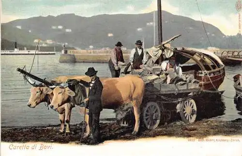 Schweiz Caretta di Bovi Bullen Ochsenwagen Transportsteine Vintage Postkarte