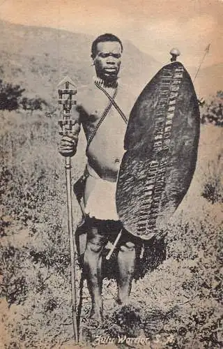 Südafrika Zulu Krieger mit Speer und Schild Vintage Postkarte