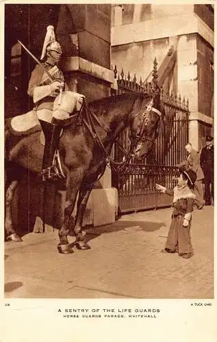 England London Sentry of Life Guards Pferdeparade Whitehall Boy Vintage Postkarte