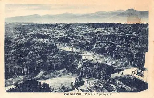 C079 Italien Viareggio Pineta e Alpi Apuane Vintage Postkarte