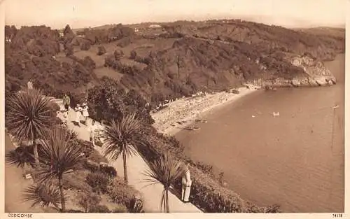 A982 England Oddicombe General View Vintage Postkarte