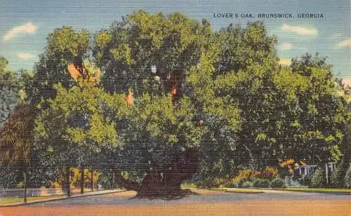 A989 US Lover's Oak Brunswick Georgia Vintage Postkarte