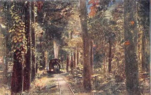 A998 Indien Darjeeling Avenue mit Dampfzug Wald Vintage Postkarte