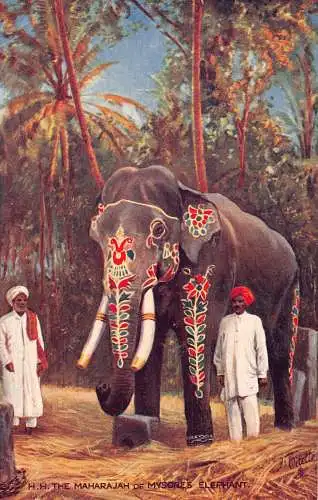 A994 Indien HH Der Maharadscha von Mysores Elefantenleben ethnische Postkarte