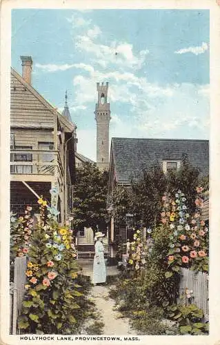 A990 US Massachusetts Provincetown Hollyhock Lane Vintage Postkarte