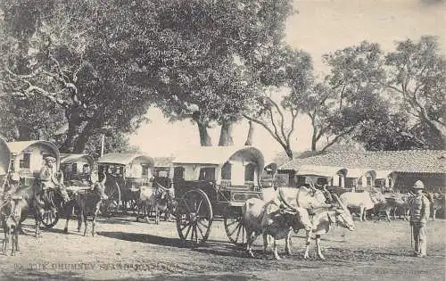 A993 Indien Belgaum Dhumney Ständer ethnische einheimische Ochsenwagen Vintage Postkarte