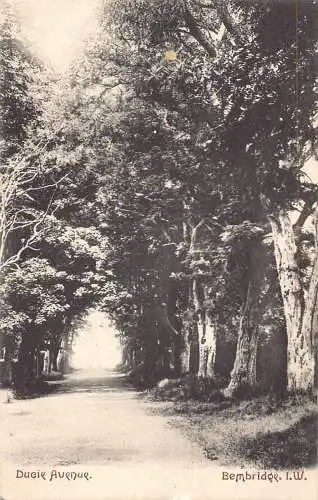 B003 England Ducie Avenue Bembridge Isle of Wight Vintage Postkarte