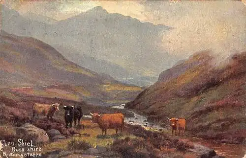B004 Schottland 1907 Glen Shiel Ross Schrein und Longstarre Rinder Vintage Postkarte