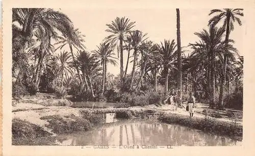 B023 Tunesien Gabes L'Oued a Chenini Vintage Postkarten