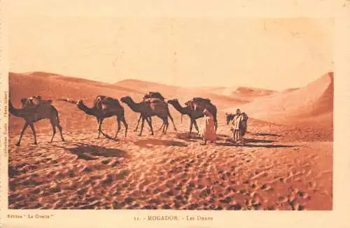 B018 Marokko Essaouira Mogador Les Dunes Wüstenkamele Vintage Postkarte