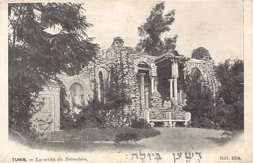 B015 Tunesien Tunis Mida du Belvedere Ruinen Vintage Postkarte