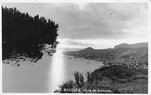 B014 Portugal Madeira Vista da Cancela RPPC Vintage Postkarte