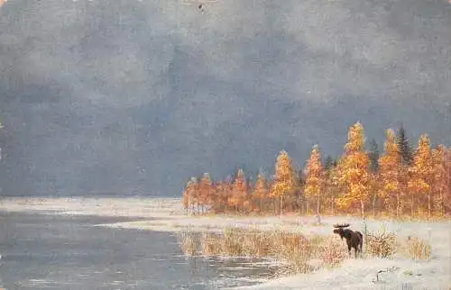 B023 Russland Kunst von Comte Mouravieff-Lisiere du bois Rentier Schnee Postkarten