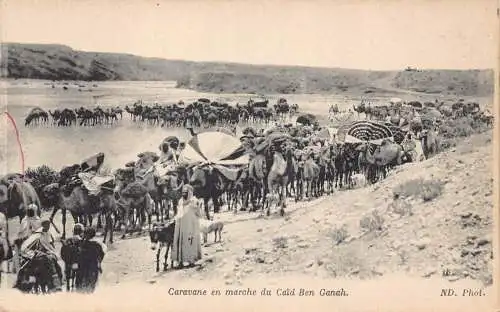 B019 Algerien Caravane en marche du Caid Ben Ganah Kamele März Vintage Postkarte