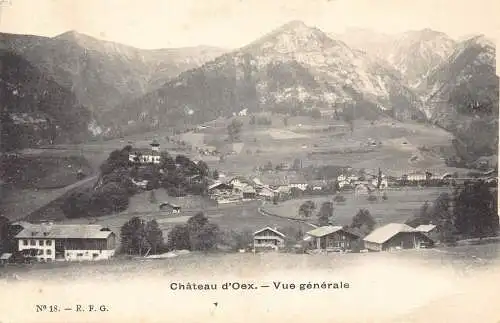 Schweiz Chateau d'Oex Gesamtansicht Berg Vintage Postkarte