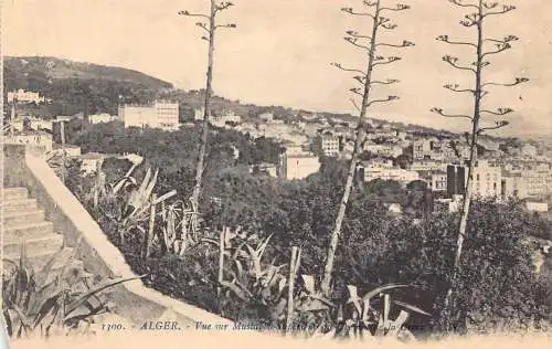B019 Algerien Algier Vue sur Mustapha Superieru de Chemin de Croix Postkarte
