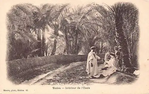 B019 Algerien Biskra Interieur de l'Oasis Vintage Postkarte