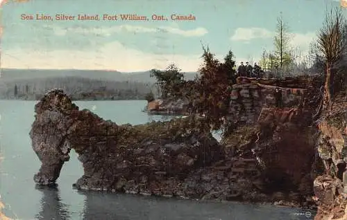 B020 Kanada 1916 Seelöwe Silberinsel Fort William Ontario Vintage Postkarte