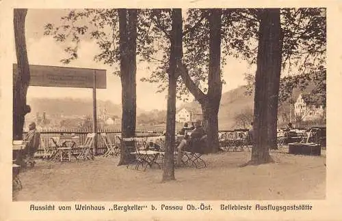 B022 Deutschland Weinhaus Bergkeller bei Passau Weinhaus Vintage Postkarte
