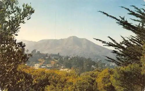 B021 US California Mount Tamalpais Vintage Postkarte