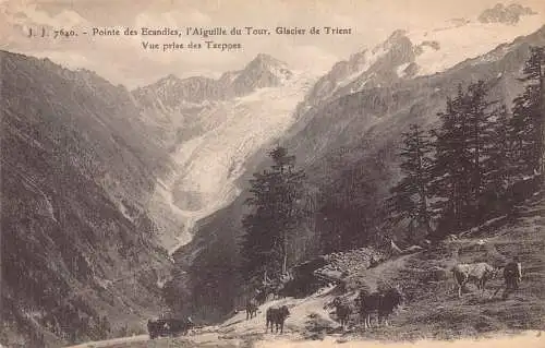 Schweiz Pointe des Ecandies l'Aiguille du Tour Glacier De Trient Postkarte