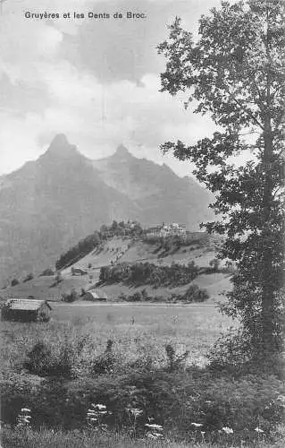 Schweiz Gruyeres et les Dents de Broc Vintage Postkarte