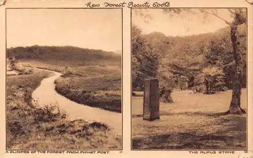 England New Forest Beauty Spots Wald von Picket Post Rufus Stone Postkarte