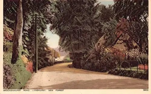 England New Forest Brockenhurst Road Lyndhurst Vintage Postkarte
